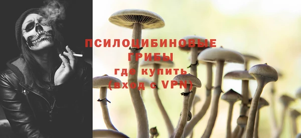 кристаллы Дмитриев